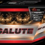 PXB2419 - Salute