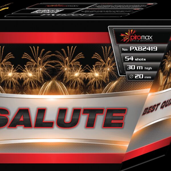PXB2419 - Salute